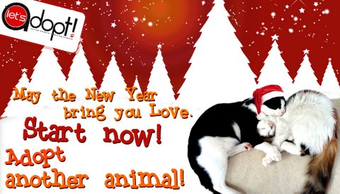 Season's Greetings from Let's Adopt!